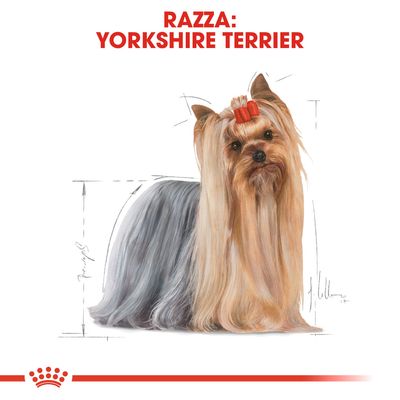 Royal Canin Yorkshire Terrier Adult 7,5kg - Crocchette per Cani Royal Canin Yorkshire Terrier Adult 7,5kg - Crocchette per Cani